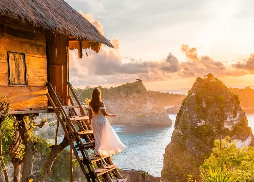 Rumah Pohon Batu Molenteng