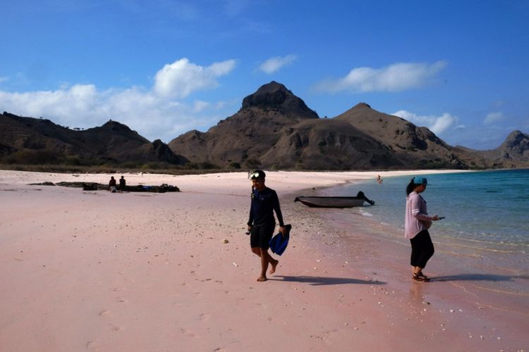 Pantai Pink